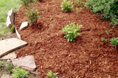 SpringCleanup1-3